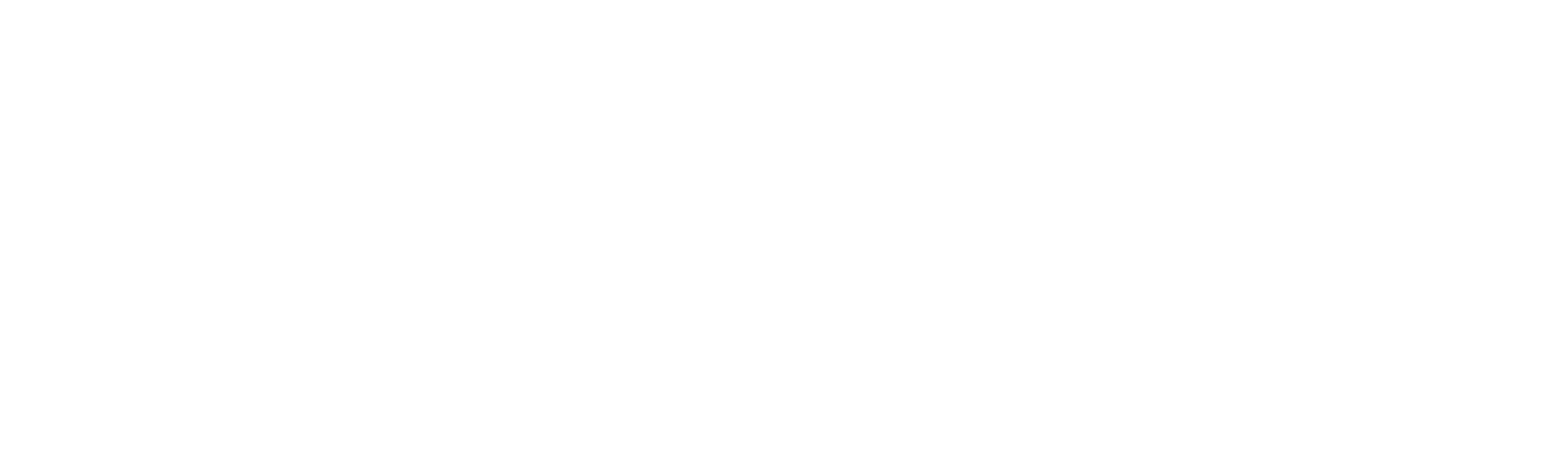 SMM4DZ